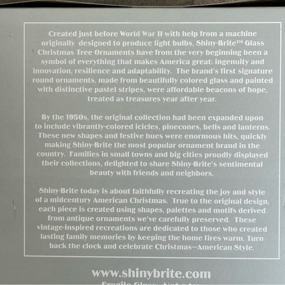 20 Piece Vintage Style Mini Glass Ornament Set - Christopher Radko Shiny Brite - Picture 6 of 6